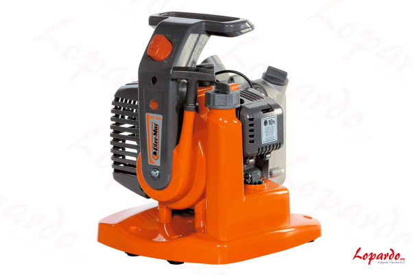 Motopompe autoadescanti WP 300