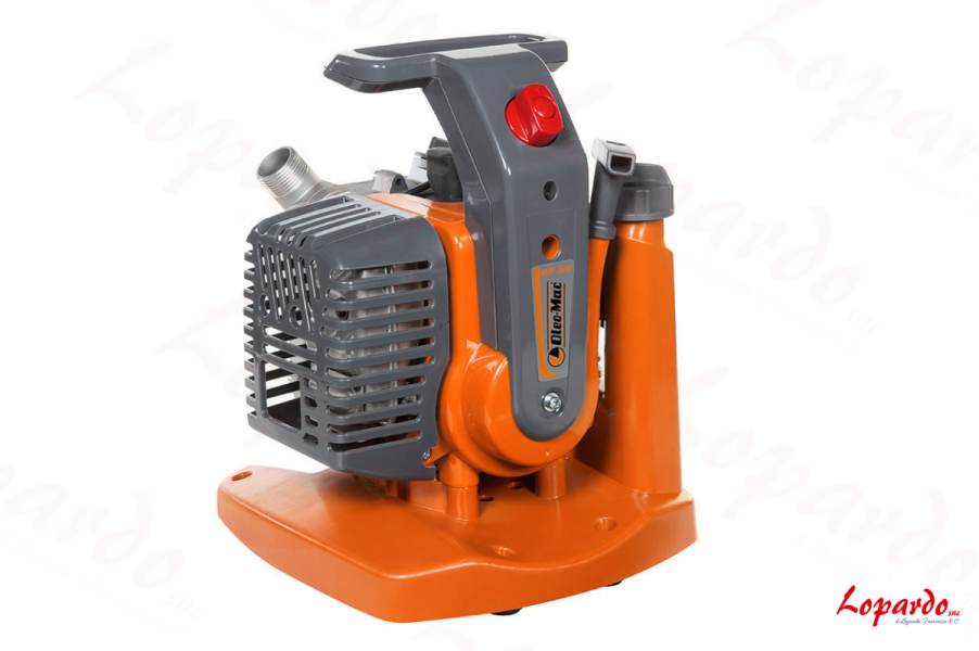 Motopompe autoadescanti WP 300