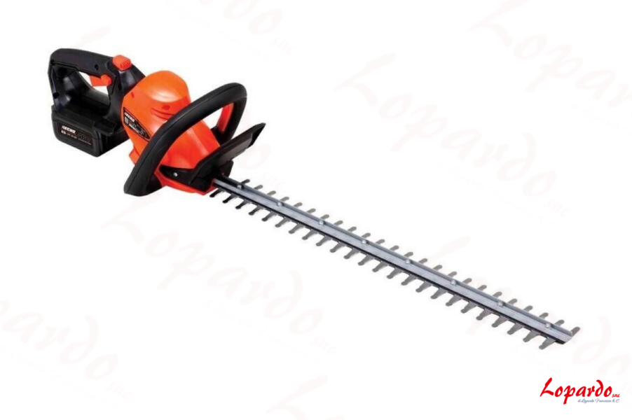 Tagliasiepi a batteria DHC-310