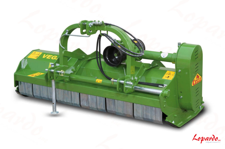 Trincia Celli Vega/S