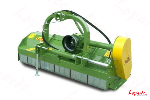 Trincia Celli Mizar/S