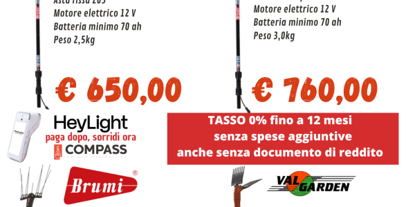 Offerta abbacchiatori elettrici 